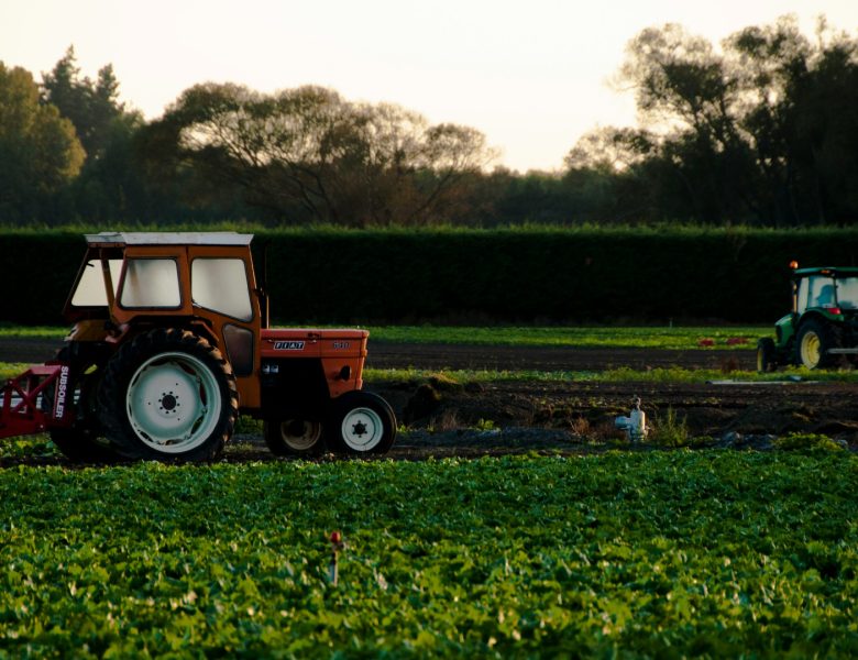 Agriculture : Préparation du sol et technique idéale pour un rendement élevé